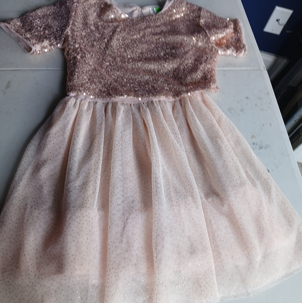 Sparkling Rose Color Dress